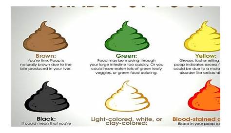 meaning vomit color chart
