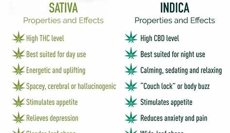 sativa vs indica vs hybrid chart