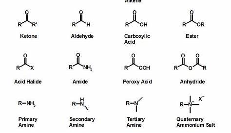 functional groups worksheets with answers