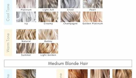 shades of blonde chart