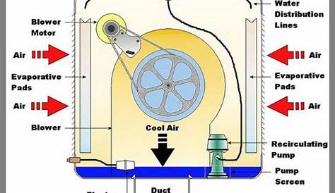 Evaporative Cooler Motor Wiring Diagram - Collection - Faceitsalon.com