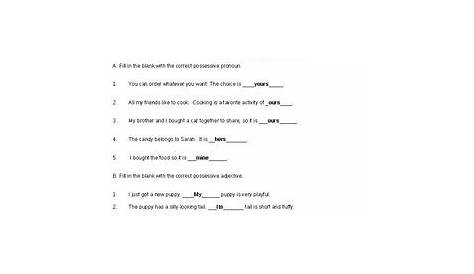 possessive pronoun worksheets