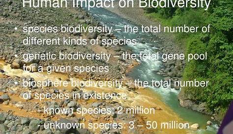 human impact on biodiversity worksheets