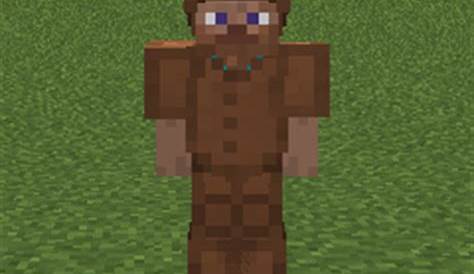 leather helmet minecraft