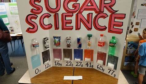 10 Wonderful Science Fair Projects Ideas For 4Th Grade 2023