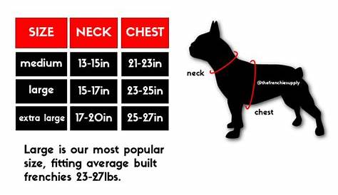 frenchie weight chart by age