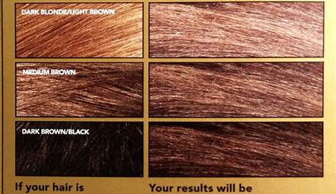 ash brown revlon hair color chart