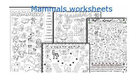 mammals habbitats worksheet for kindergarten