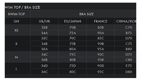 gilly hicks size chart