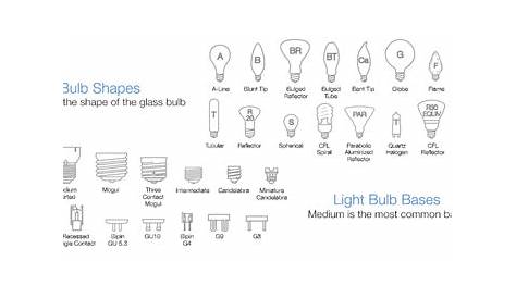 A Buyer's Guide to Buying Light Bulbs. Learn about lumens, CRI and