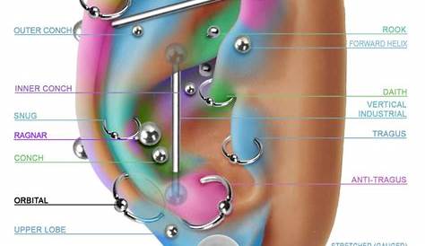 most painful ear piercing chart