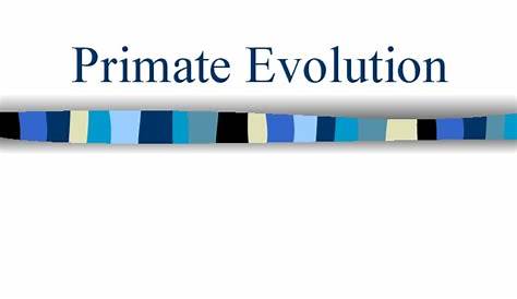 Primate Evolution PPT for 9th - 12th Grade | Lesson Planet