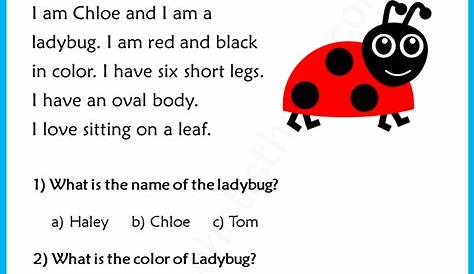 Lady Bug - Reading Comprehension For Grade 3 - Your Home Teacher