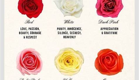 rose colors meaning chart