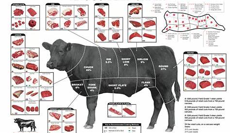 Angus Beef Cut Chart