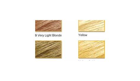 clairol color wheel | Color Theory from the Clairol Professional Hair