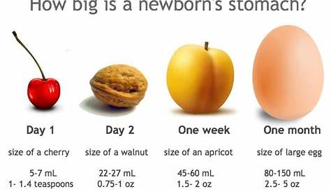 size of infant stomach chart