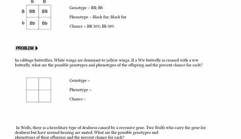 punnett square worksheets answer key