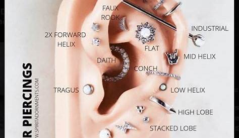 Pin by Cynthia Rodriguez on Piercing ideas | Ear piercings chart