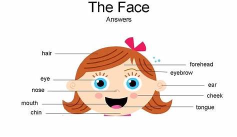 Facial Features Worksheets