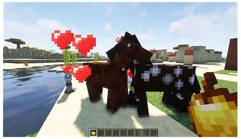 what does horses eat on minecraft
