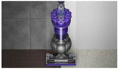 Dyson Ball Animal 2 vacuum review: Is it worth the money?