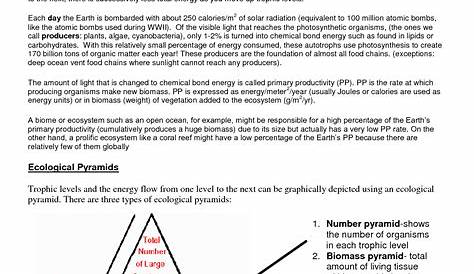 9 Best Images of Energy Pyramid Trophic Levels Worksheet - Ecosystem
