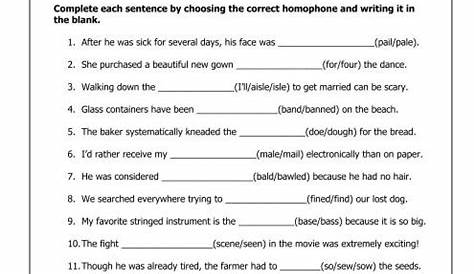 homophones worksheets 4th grade