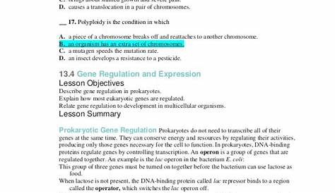 genetic mutations worksheets