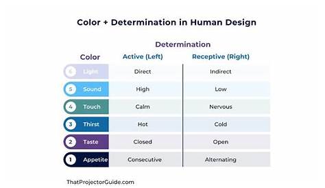 human design determination chart