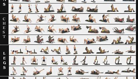 Total Gym Exercise Wall Chart Poster Total Gym Chart | Gym workout