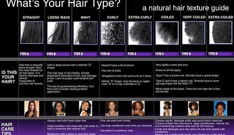 I like this chart best! | Hair texture chart, Texturizer on natural