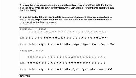 genetic mutation worksheets answer key