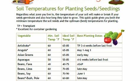 soil temperature for vegetables