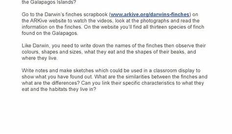 Darwin's Finches Worksheet