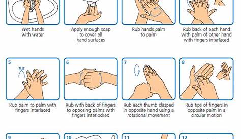standard hand washing procedure
