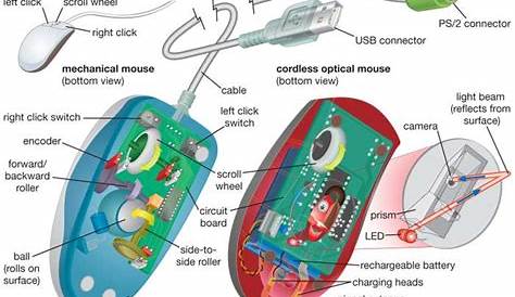 Parts of Mouse