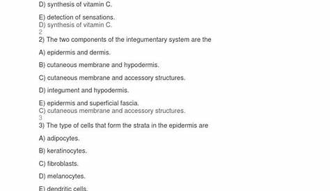 integumentary system worksheets with answers