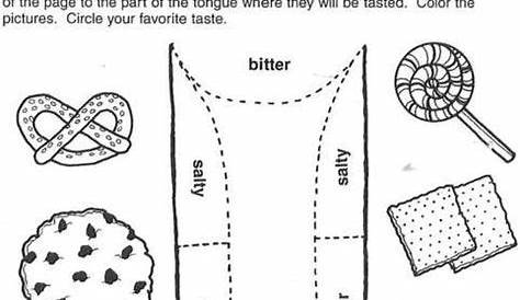 Image result for sense of taste worksheet | Kids | Senses preschool