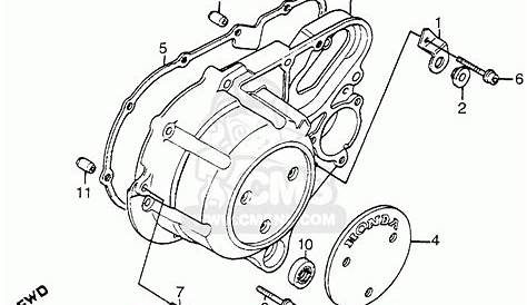 Wiring Diagram Fuel Relay And Fuel Pump '95 Honda Shadow 1100 Images