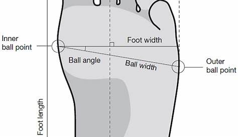 heel to toe length