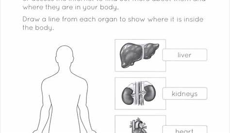 life science worksheets for 5th grade
