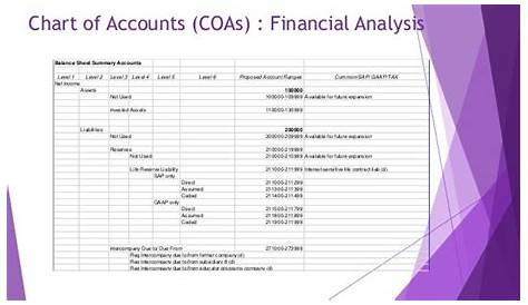 Chart of Account Design