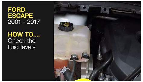 2016 ford escape transmission fluid check