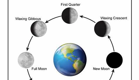 moon phases diagram worksheet