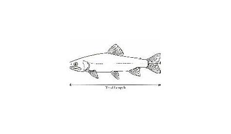 virginia trophy fish size chart