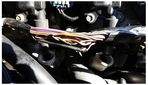 painless wiring harness for camaro