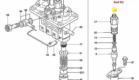 13+ kubota fuel injection pump diagram - NanvulaCadence