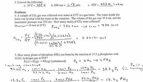 macromolecule worksheet 2 answer key