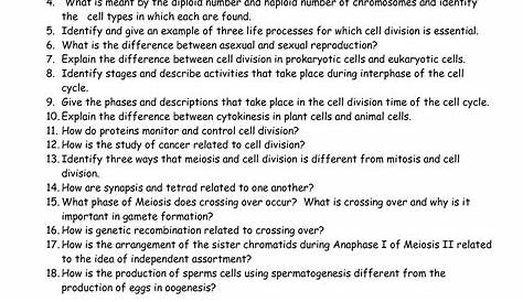 mitosis versus meiosis worksheet answers
